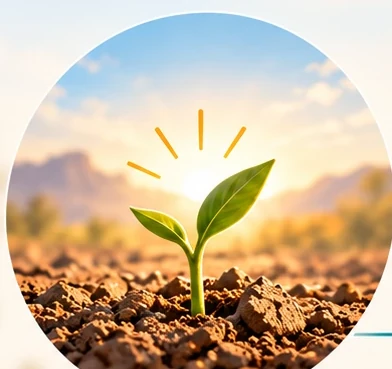 A seedling emerging from soil